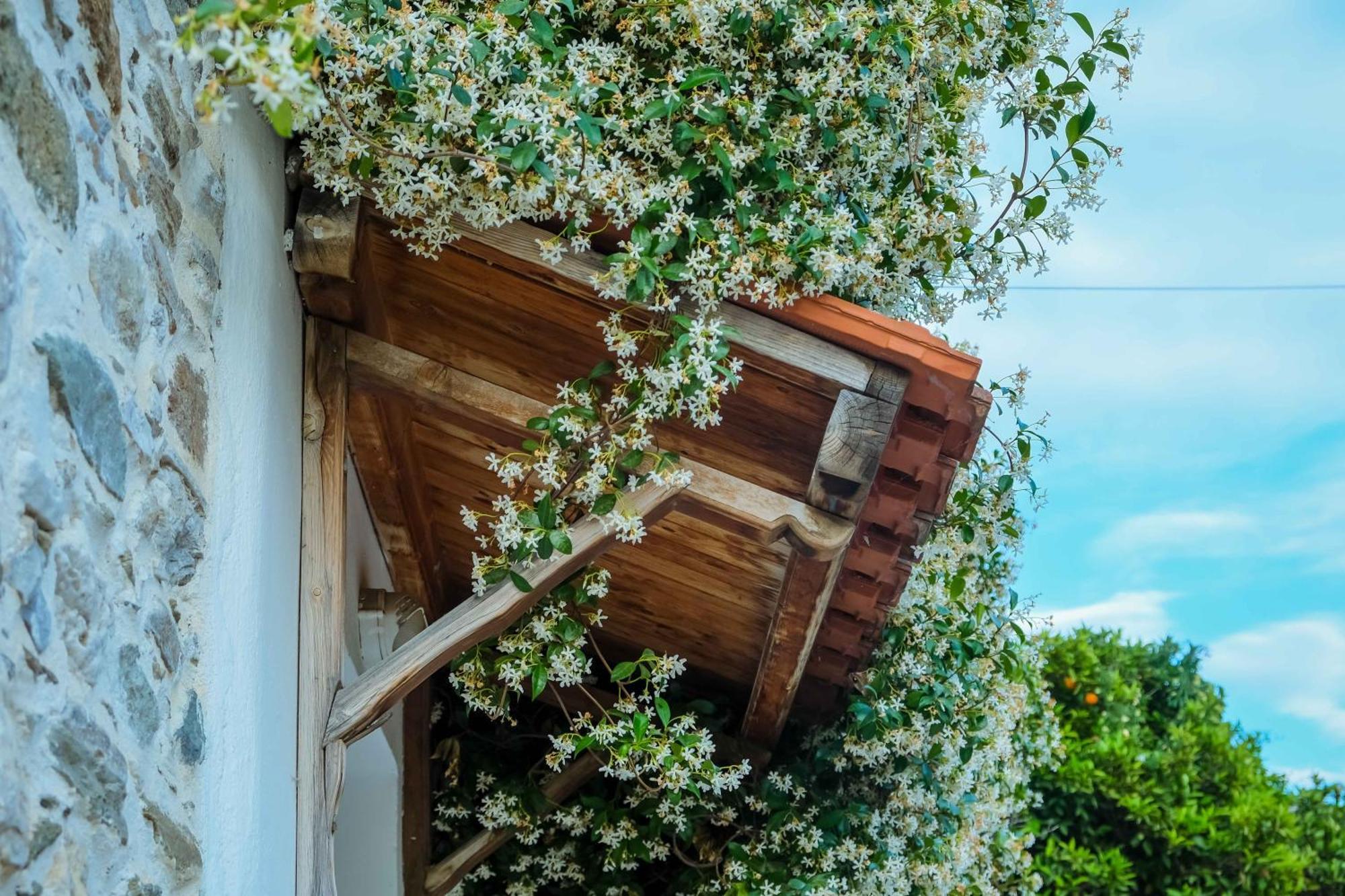 Апартаменты Cozy House In Pelion Kato Lekhonia Экстерьер фото